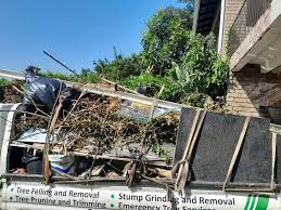 Best Demolition Debris Removal  in Stevensville, MD